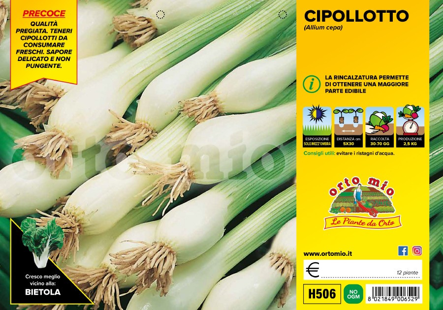 Piantine Di Cipolla Bianca - Kit Da 9 Per Orto E Balcone - Made In Italy - Foto 7