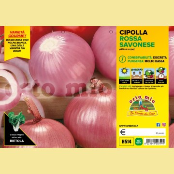 Cipolla rosata savonese - 12 piante - Orto mio