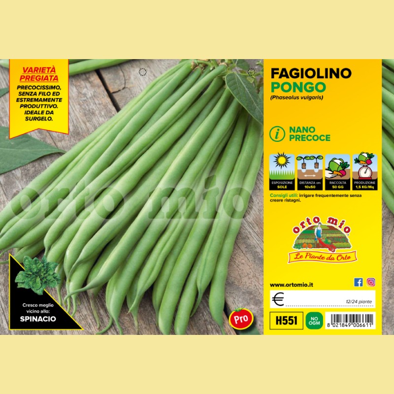 Fagiolino nano verde Pongo F1 - 12 piante - Orto Mio