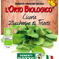 Sementi Dotto Bio - Cicoria Zuccherina di Trieste
