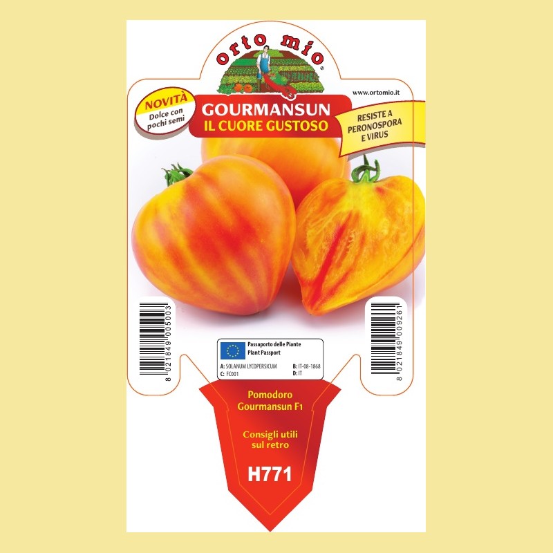 Pomodoro a cuore resistente Cuore dolce Gourmansun F1 - 1 pianta vaso 10 - Orto Mio