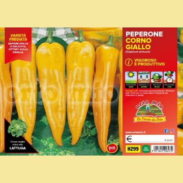Peperone corno giallo - giallo Astor F1/Iside F1 - 6 piante - Orto Mio