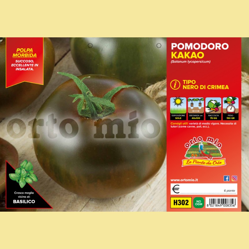 Pomodoro Colorato nero di Crimea - Kakao F1 - 6 piante - Orto Mio