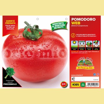 Pomodoro tondo da mensa - Web F1 - 6 piante - Orto Mio