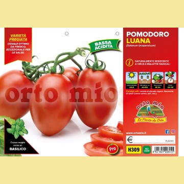 Pomodoro San Marzano e ovale - ovale Luana F1 - 6 piante - Orto Mio