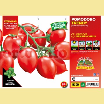 Pomodoro vesuviano Trendy F1 - 6 piante - - Orto Mio