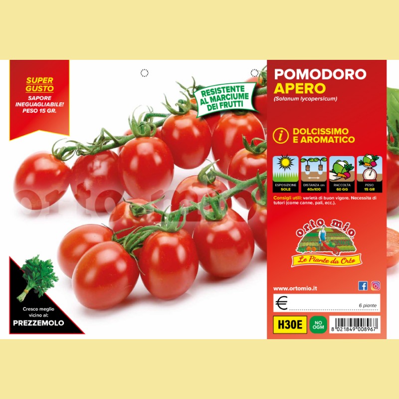 Pomodoro ciliegino dolcissimo - Apero F1 - 6 piante - Orto Mio