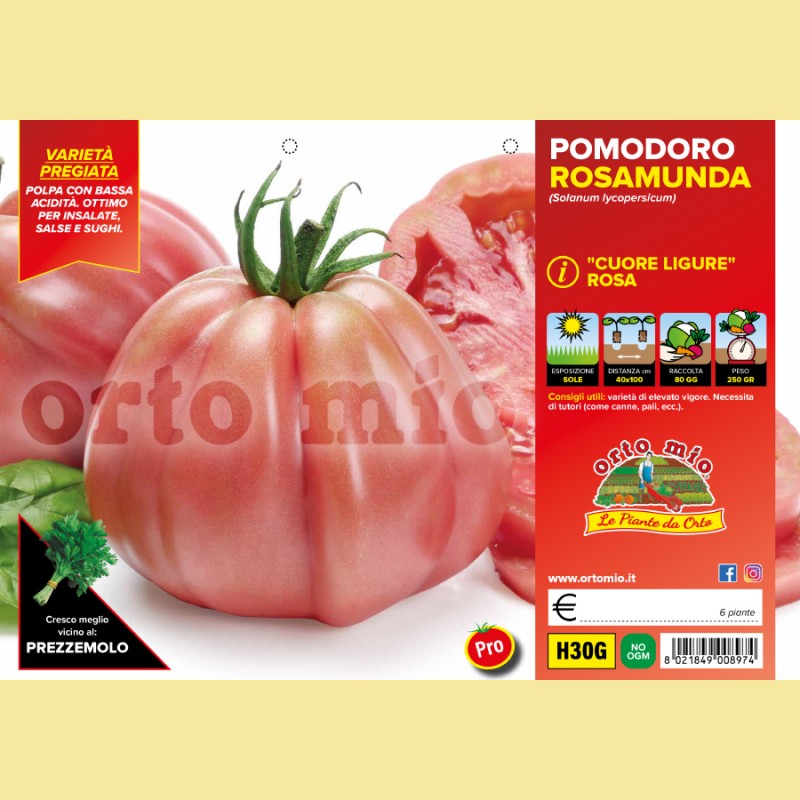 Pomodoro a cuore resistente cuore ligure rosa - Rosamunda F1 - 6 piante - Orto Mio
