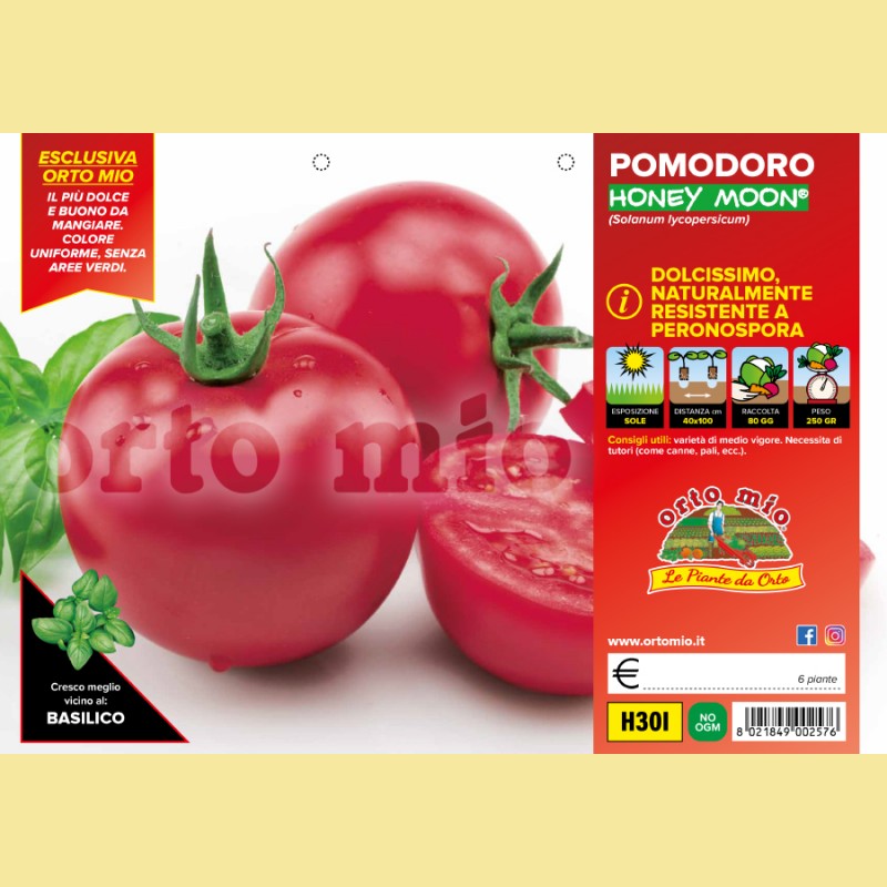 Pomodoro tondo dolce - Honey Moon F1 - 6 piante - Orto Mio