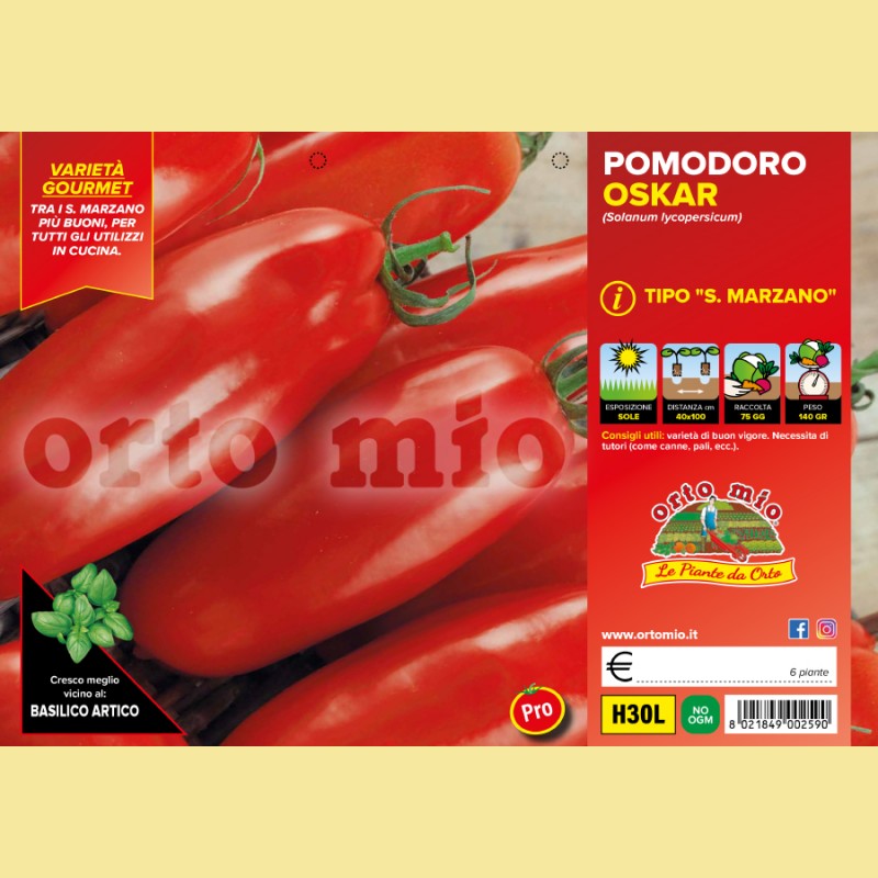 Pomodoro San Marzano e ovale - Oskar F1 - 6 piante - Orto Mio