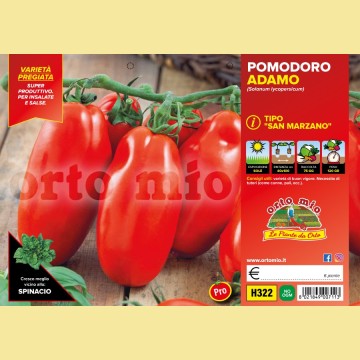 Pomodoro San Marzano e ovale - Adamo F1 - 6 piante - Orto Mio