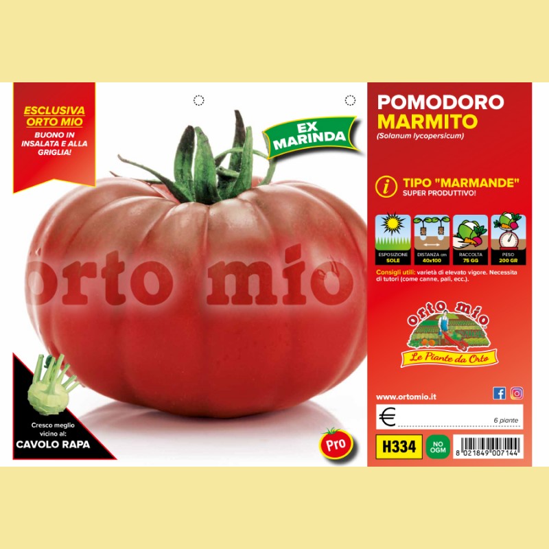 Pomodoro costoluto marmande - Marmyto F1 - 6 piante - Orto Mio
