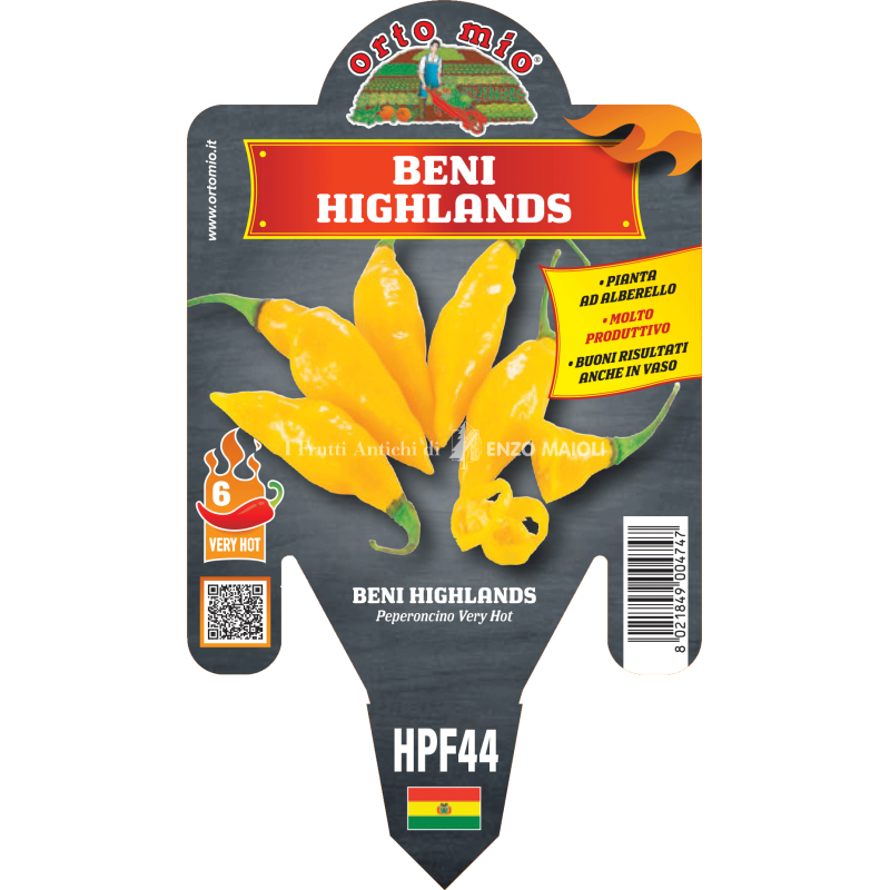 Peperoncino piccante HOT - Beni Highlands - 1 pianta vaso 14 - Orto Mio