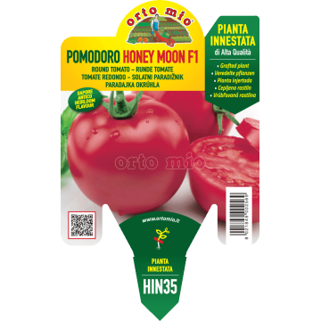 Pomodoro tondo dolce - Honey Moon F1 - 1 pianta innestata vaso 14 - Orto Mio
