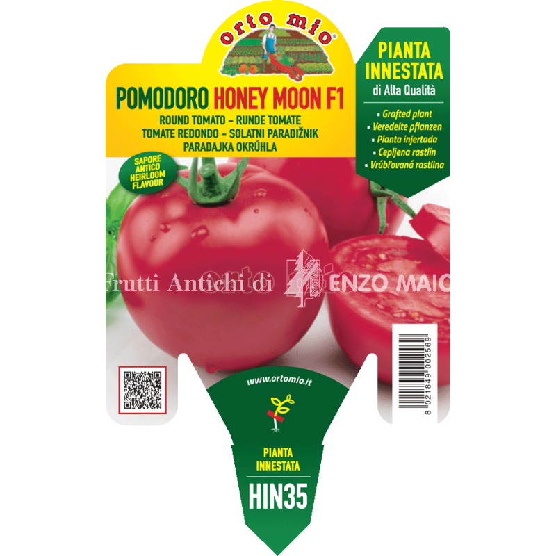 Pomodoro tondo dolce - Honey Moon F1 - 1 pianta innestata vaso 14 - Orto Mio