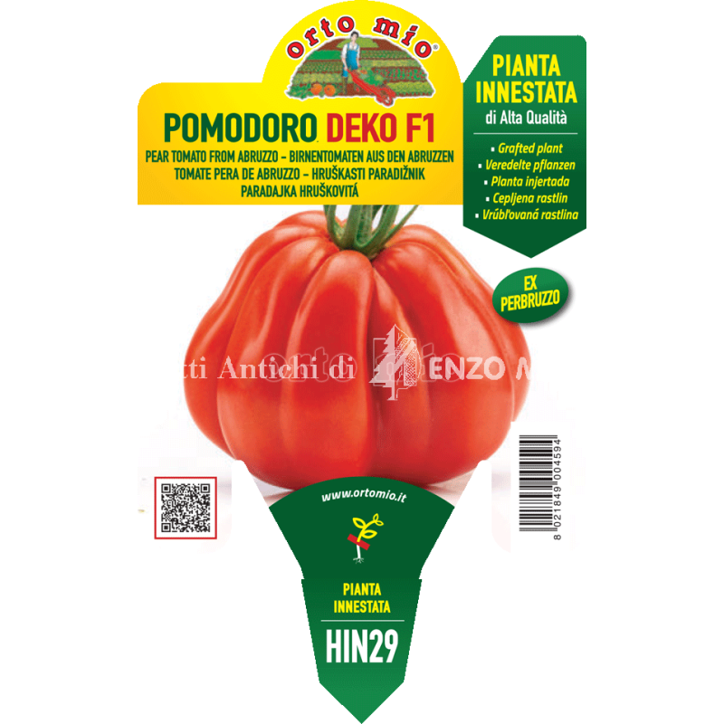 Pomodoro Pera d'Abruzzo - Deko F1 - 1 pianta innestata vaso 14 - Orto Mio