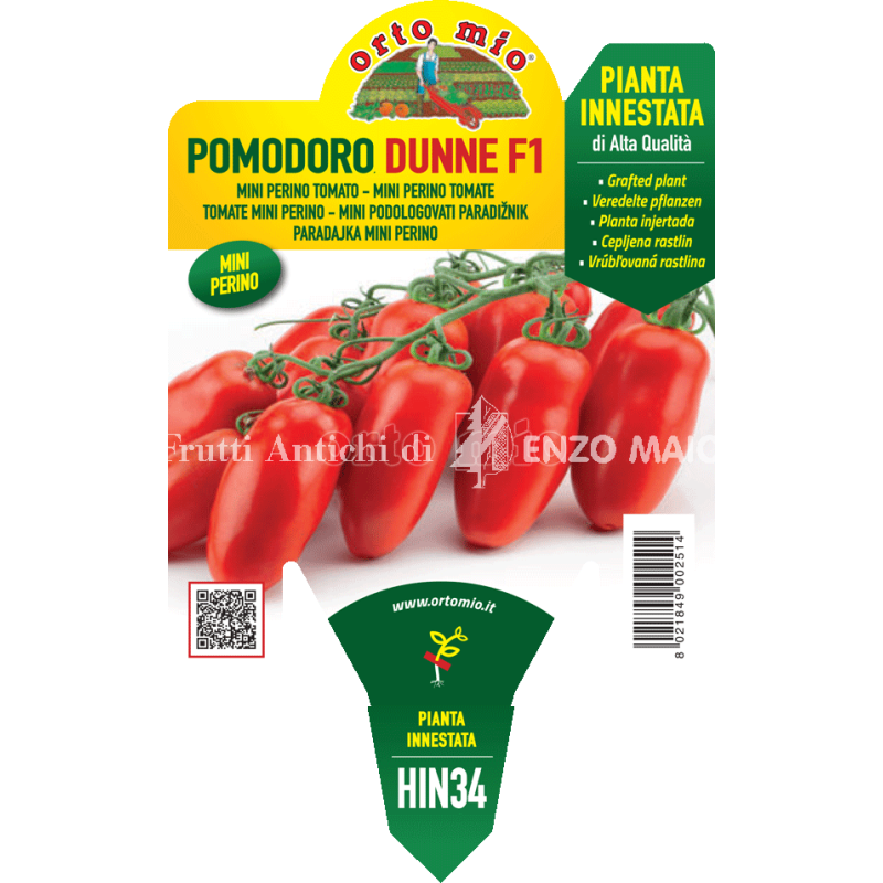 Pomodoro mini perino - Dunne F1 - 1 pianta innestata vaso 14 - Orto Mio