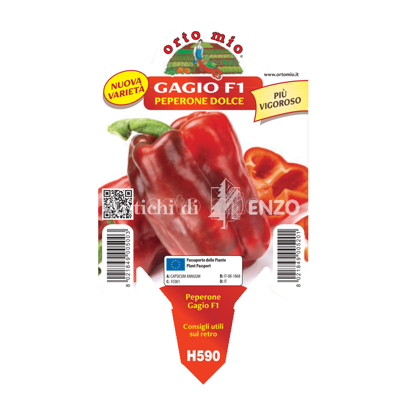 Peperone rosso Gagio F1 - 1 pianta vaso 10 - Orto Mio