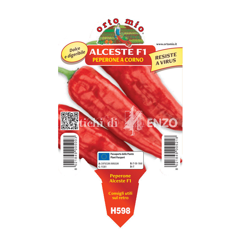 Peperone corno rosso Alceste F1 - 1 pianta vaso 10 - Orto Mio