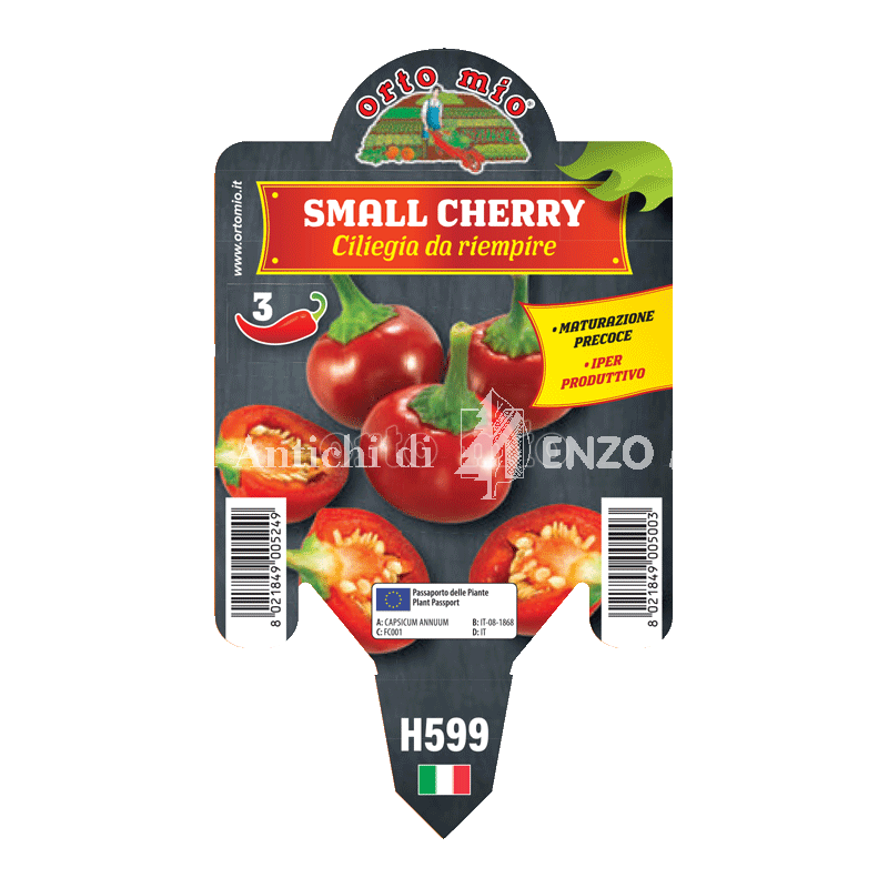 Peperone piccante tondo Small cherry - 1 pianta vaso 10 - Orto Mio
