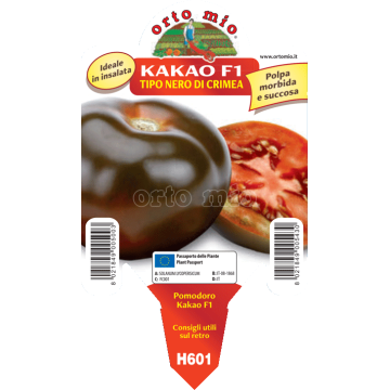 Pomodoro Colorato nero di Crimea - Kakao F1 - 1 pianta vaso 10 - Orto Mio
