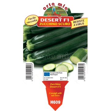 Zucchino scuro Desert F1 - 1 pianta vaso 10 - Orto Mio