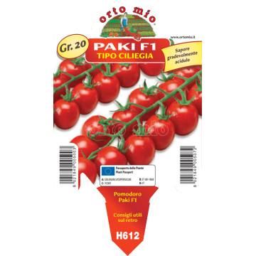 Pomodoro ciliegino - Paki F1/Edox F1 - 1 pianta vaso 10 - Orto Mio