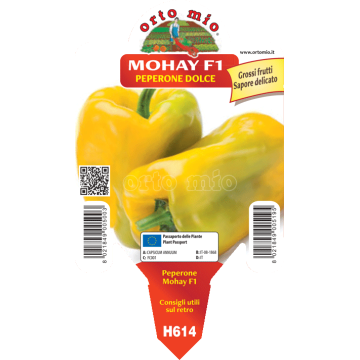 Peperone giallo Mohay F1 - 1 pianta vaso 10 - Orto Mio