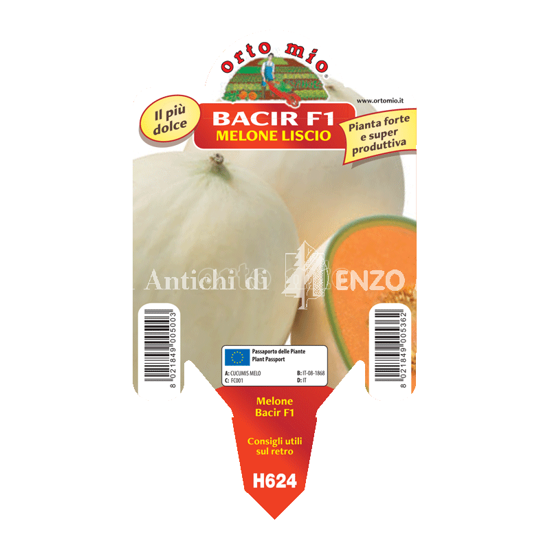 Melone liscio Bacir F1 - 1 pianta vaso 10 - Orto Mio