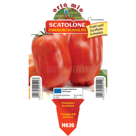 Piantine Di Pomodoro San Marzano - 10 Piante Da Orto, Coltivate Senza Pesticidi, Altezza 15-25cm - Foto 8