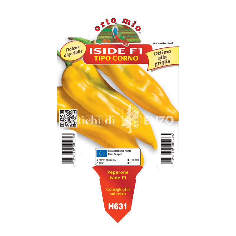 Peperone corno giallo - giallo Astor F1/Iside F1 - 1 pianta vaso 10 - Orto Mio