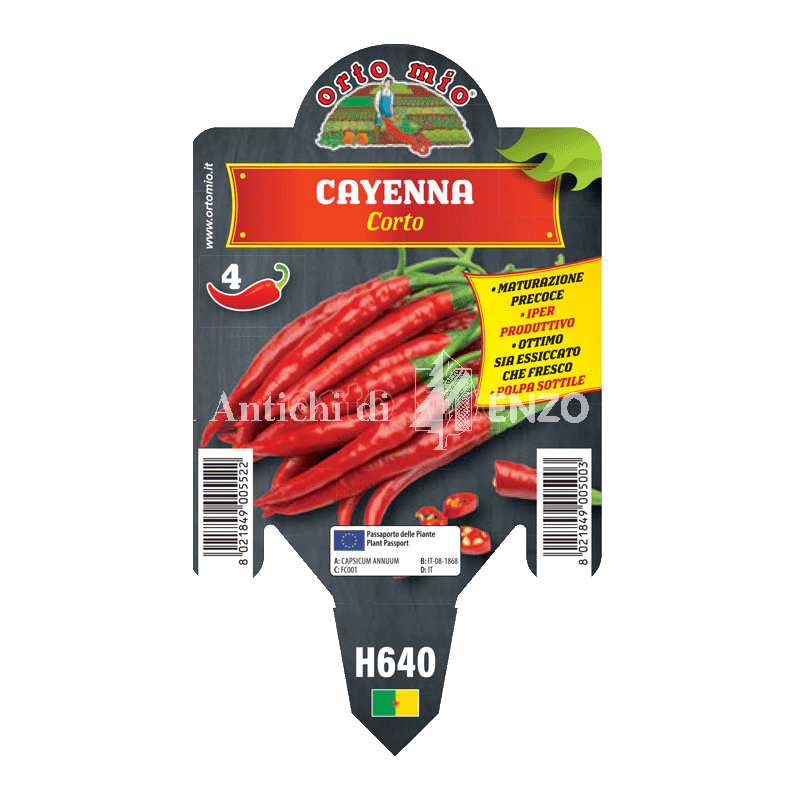 Peperoncino piccante HOT - Cayenna corto Cheyenne F1 - 1 pianta vaso 10 - Orto Mio