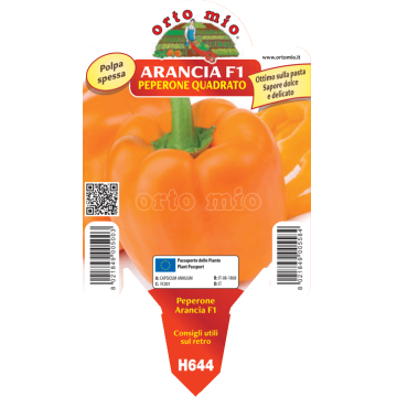 Peperone arancione Arancia F1 - 1 pianta vaso 10 - Orto Mio
