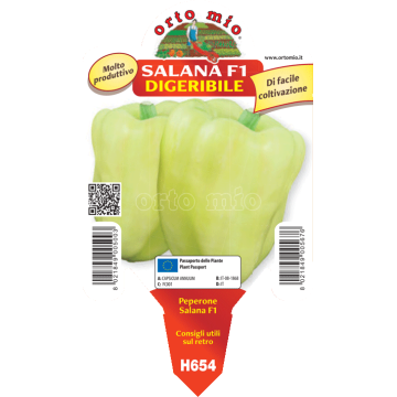 Peperone digeribile Citrino salana Salara F1 - 1 pianta vaso 10 - Orto Mio