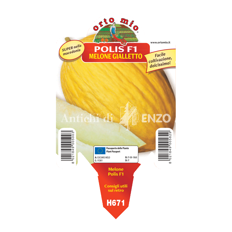Melone gialletto - Polis F1 - 1 pianta vaso 10 - Orto Mio