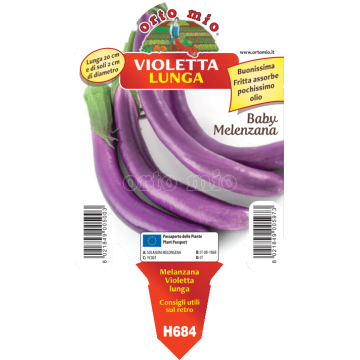 Melanzana Baby - Violetta lunga F1 (tipo perlina) - 1 pianta vaso 10 - Orto Mio