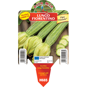 Zucchino lungo fiorentino - Tirreno F1 - 1 pianta vaso 10 - Orto Mio