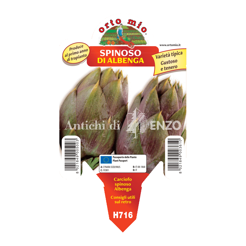 Carciofo - Spinoso di Albenga - 1 pianta vaso 10 - Orto mio