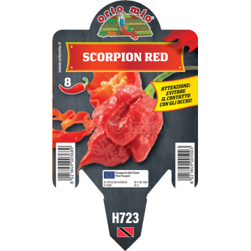 Peperoncino piccante HOT - Scorpion rosso - 1 pianta vaso 10 - Orto Mio