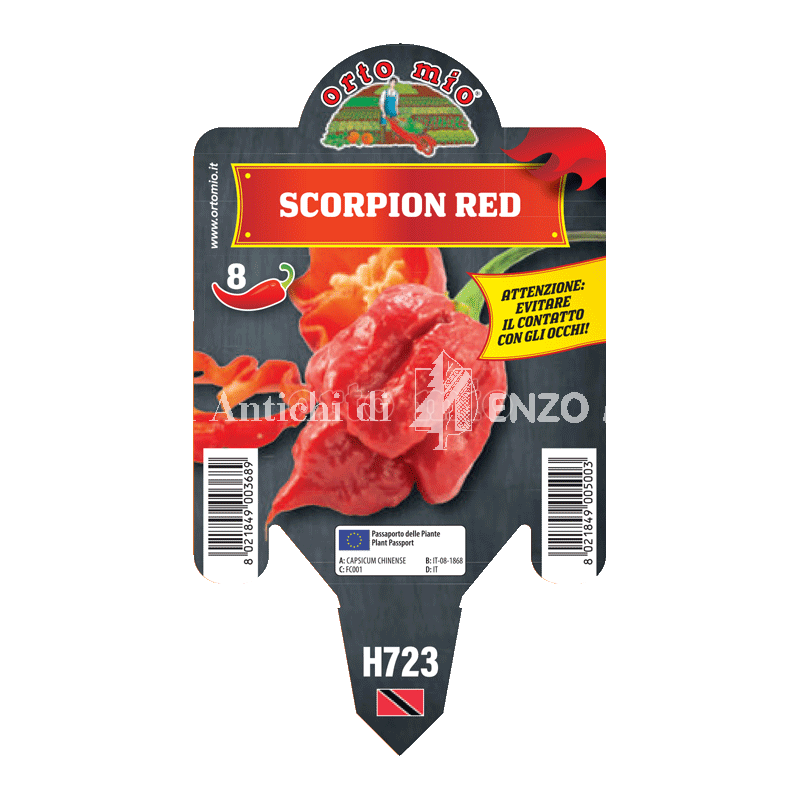 Peperoncino piccante HOT - Scorpion rosso - 1 pianta vaso 10 - Orto Mio
