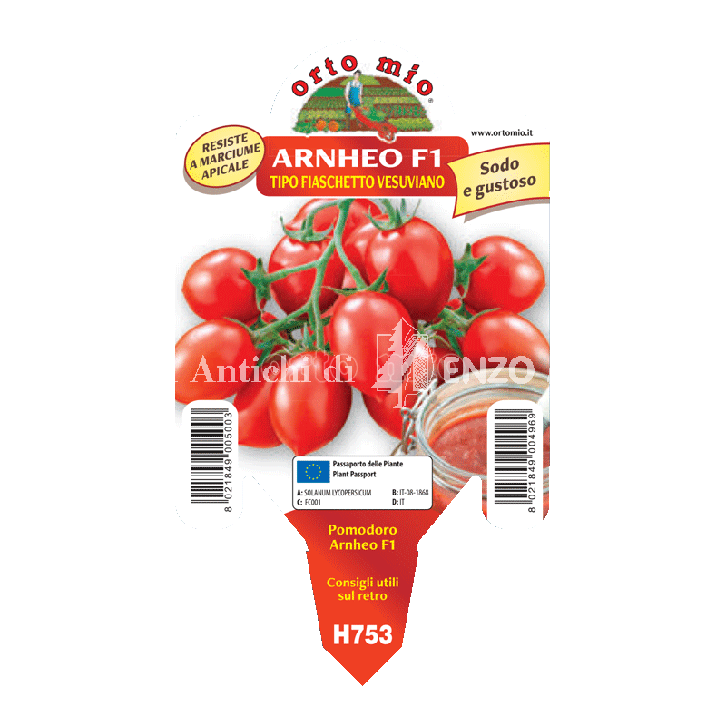 Pomodoro fiaschetto vesuviano - Arneo F1 - 1 pianta vaso 10 - Orto Mio