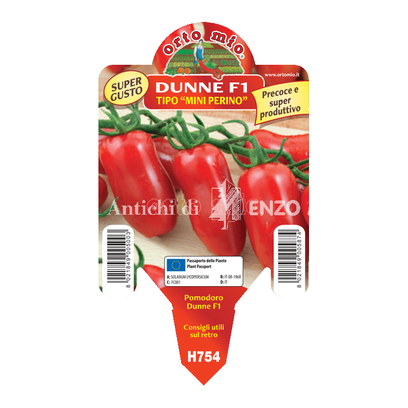 Pomodoro specialità mini perino - Dunne F1 - 1 pianta vaso 10 - Orto Mio
