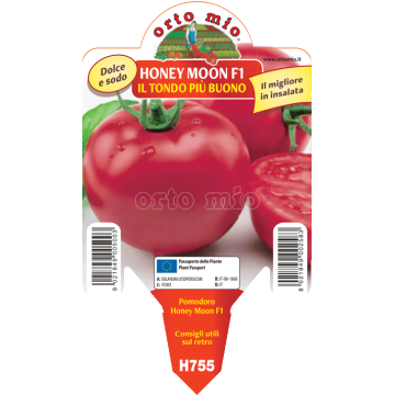 Pomodoro tondo dolce - Honey Moon F1 - 1 pianta vaso 10 - Orto Mio