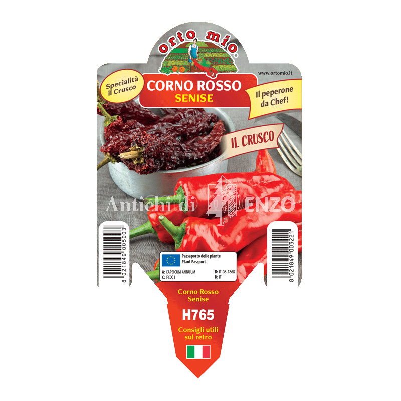 Peperone corno rosso - Senise Crusco - 1 pianta vaso 10 - Orto Mio