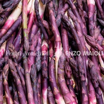 asparago violetto