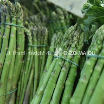 Asparago Verde - L'Ortolano