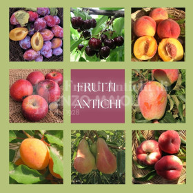 frutti antichi mix