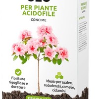 Concime per piante Acidofile - Cifo