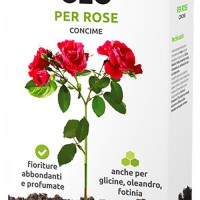 Concime per rose - Cifo